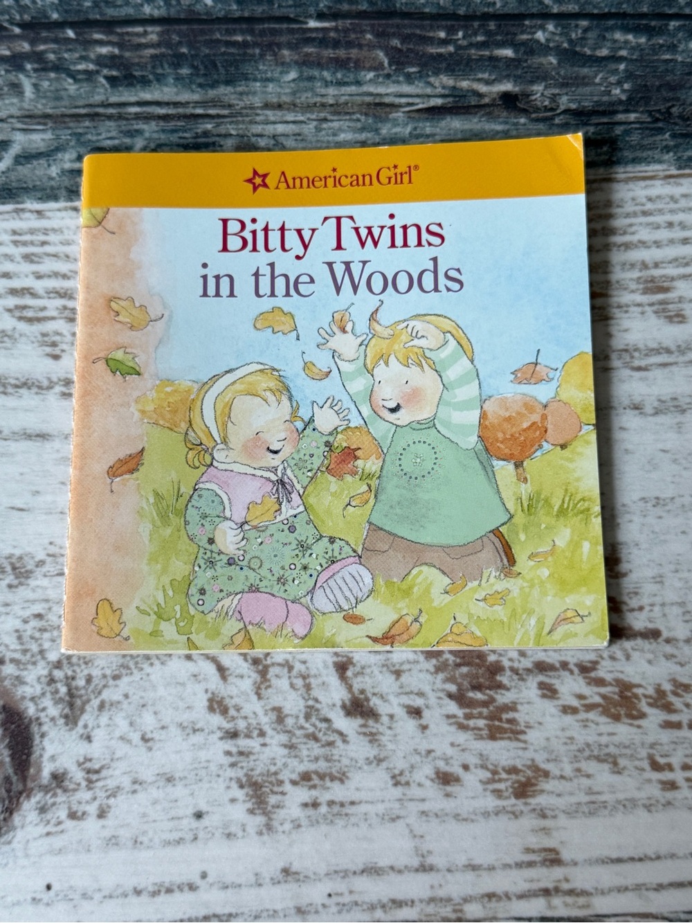American Girl Bitty Twins in the Woods WINTER FLOWERS Set Children's Book Only